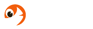Goldfish Internet